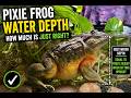 How Much Water Does a Pixie Frog Need? (Safe Depth Guide)