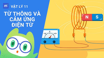 Từ thông và Cảm ứng điện từ | Vật Lý 11 Bài 23