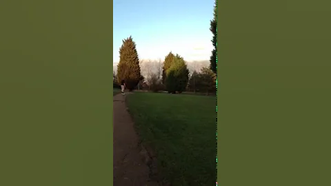 Dog control with Ronnie, fenton part II