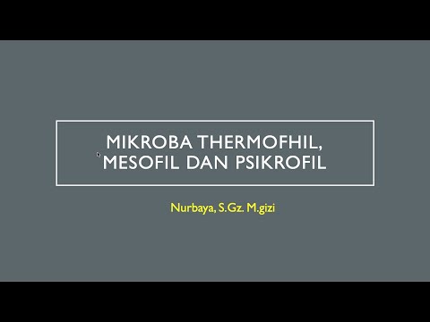Mikrobiologi Makanan: Jenis Mikroba (Thermofil, Mesofil, Psikrofil)