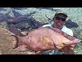 Cave Diving, Hogfish, Grouper, Dolphin, spearfishing (Staniel Cay) Exhumas, The Bahamas