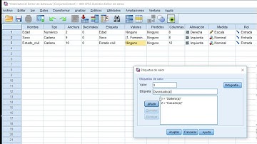 ETIQUETAS DE VALOR SPSS