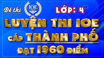 IOE lớp 4 cấp thành phố - IOE lớp 4 cấp tỉnh điểm cao, có đáp án