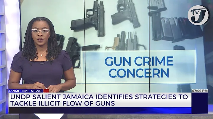 UNDP Salient Jamaica Identifies Strategies to Tackle Illicit Flow of Guns | TVJ News