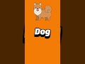 🐾 Pet Animals Names in English 🐾