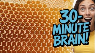 What Honey Does to Your Brain in 30 Minutes! 😲