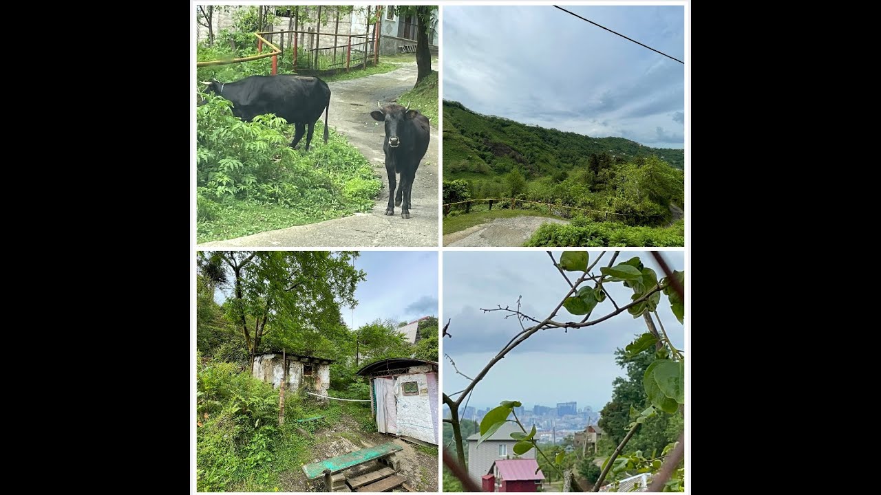 Горячий источник и природа + красивая музыка… Махинджаури, Батуми ...