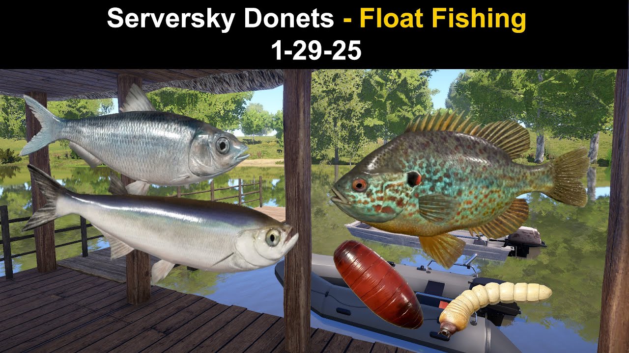 Русская рыбалка 4, Северский Донец - Поплавочная рыбалка 29.01.25