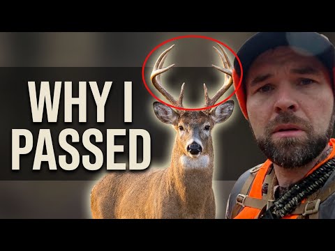 I had to Pass a BIG BUCK on the Public Land Challenge