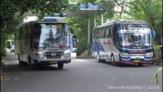 MENGEJAR TELOLET | Hunting Bis Malam di Terminal Giwangan