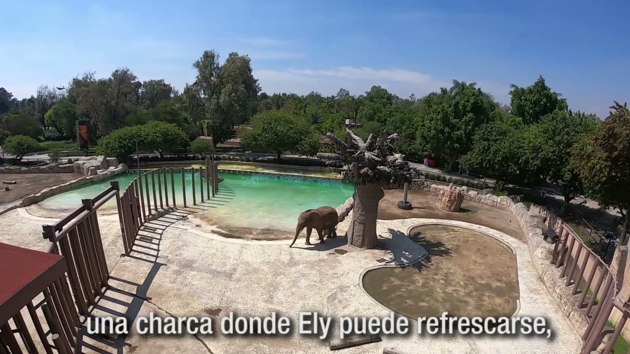 El Albergue de la Elefanta Ely