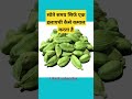 Cardamom Benefits Elaichi Ke Fayde Nutrients In Cardemum Shorts Healthtips Ytshorts Hivi Fitz