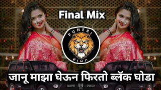 Janu Maza Gheun Firto Black Ghoda | Black Ghoda Song | Galya Madhe Sonyacha Toda Dj Puneri King 