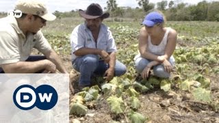 Maya in Mexiko: Konflikt mit der Tradition | Global Ideas