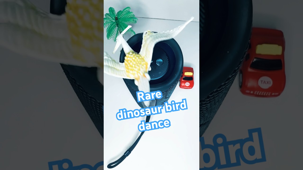 Rare dino dance | Comment cool idea 
