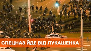 Бойцы спецназа переходят на сторону народа | Протесты в Беларуси и Минске сегодня | Лукашенко молчит