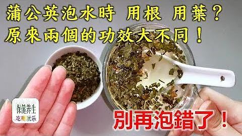 蒲公英泡水时，用根好，还是用叶好？原来两个的功效大不同！别再泡错了！ - 天天要闻