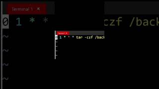 Backup في دقيقه #devops #ai #linux