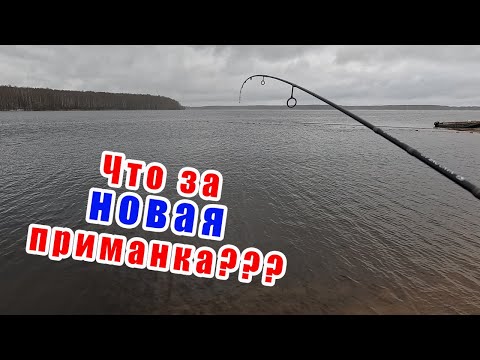 КЛЁВ КАК ИЗ ПУЛЕМЁТА!!! РЫБАЛКА 2026!!!