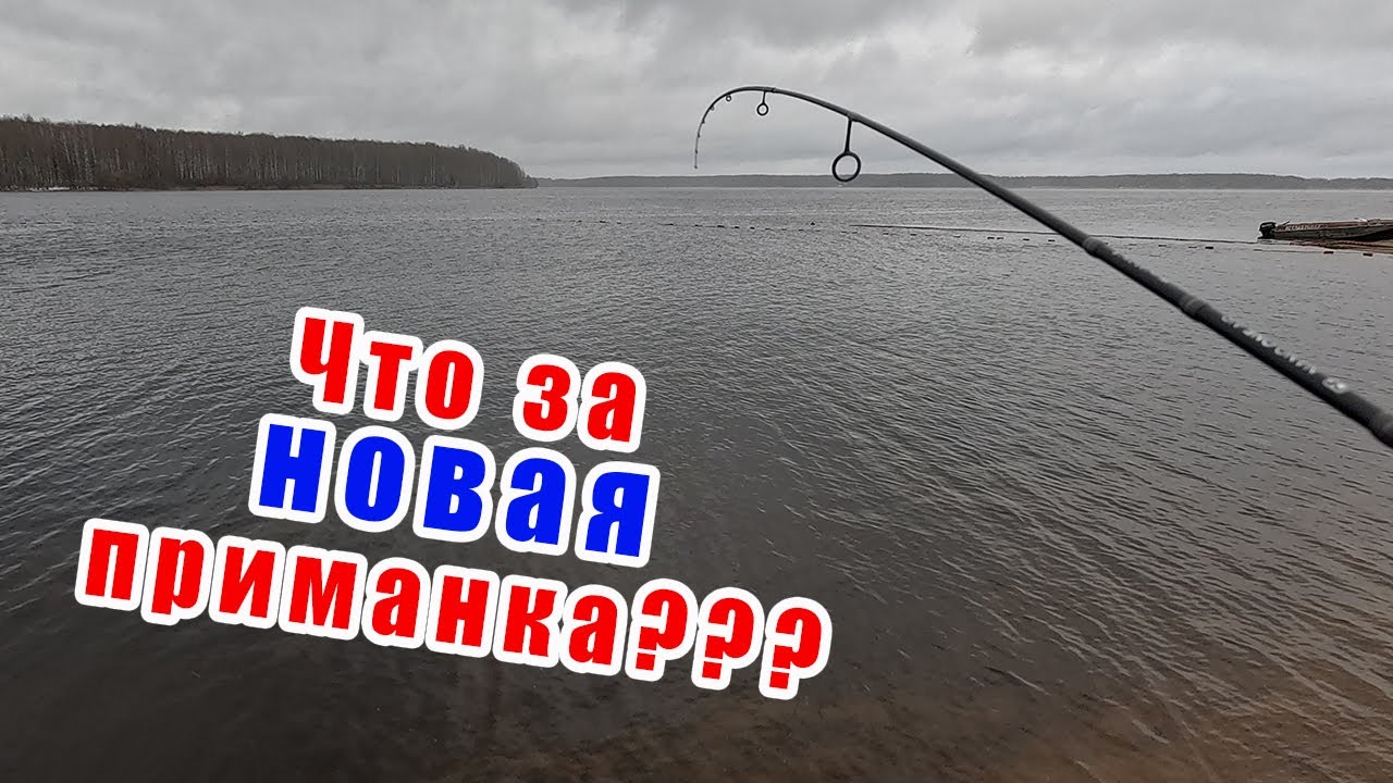 КЛЁВ КАК ИЗ ПУЛЕМЁТА!!! РЫБАЛКА 2026!!!