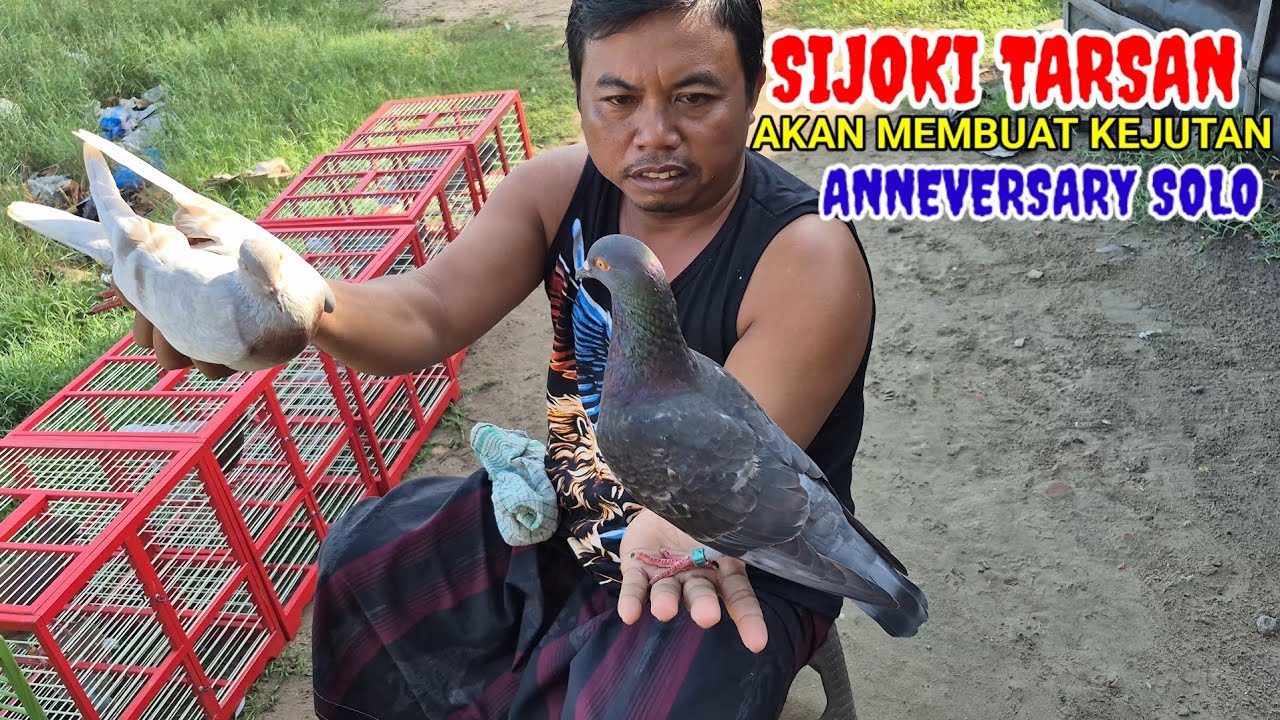 bongkar player sijoki tarsan lulus dua player tarung di seleknas anneversary solo 3 Agustus 2025