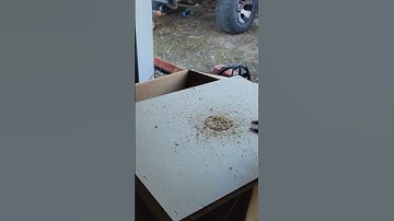 Drilling hive top bucket feeder holes