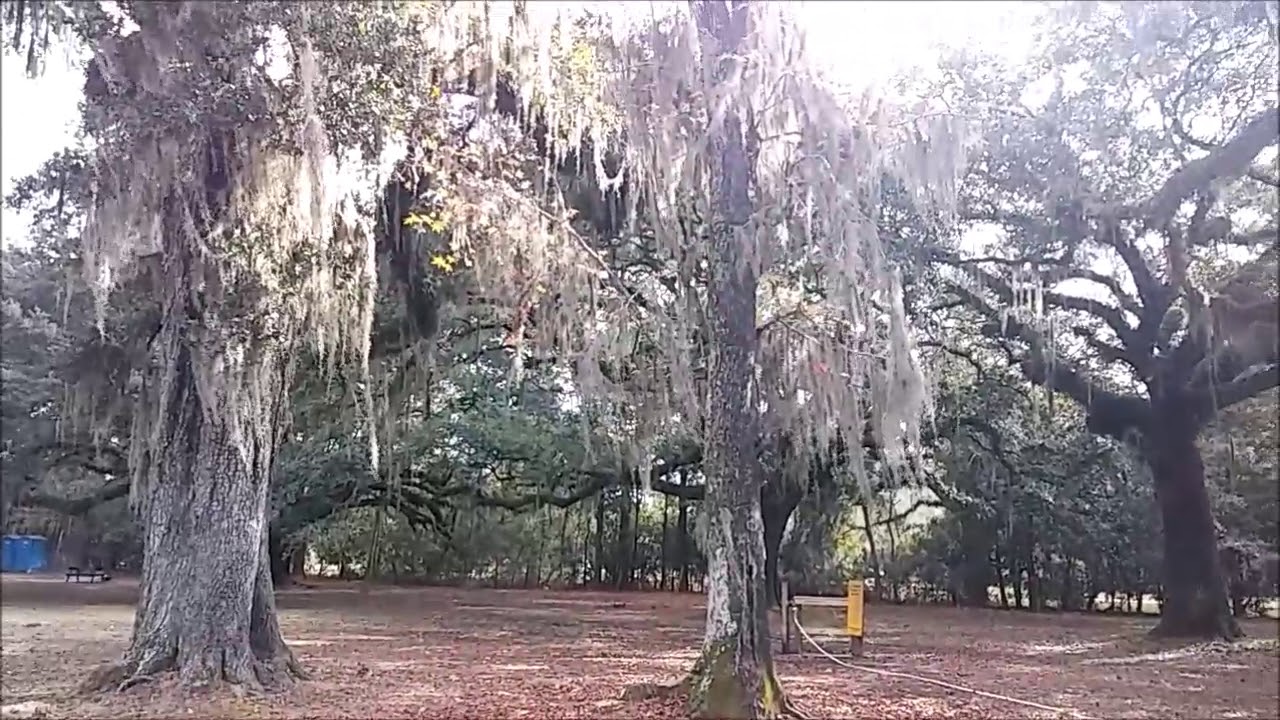 Crawford Landing in Slidell Louisiana YouTube