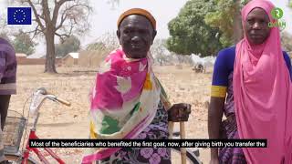 European Union support to Food Security and Resilience in Kebbi and Adamawa State (PROACT)