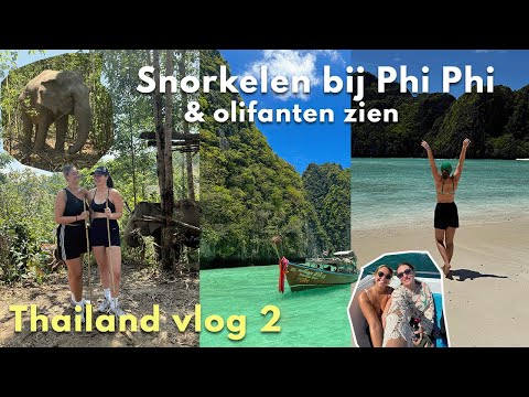 Snorkelen, Nightmarkets & Olifanten 🐘🌅🏝️ // Thailand vlog 2