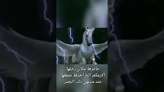 «(البراق)»  يصفه رسول الله في الإسراء والمعراج «(للشيخ بدر المشاري»» #shorts #حالات_واتس#حالات