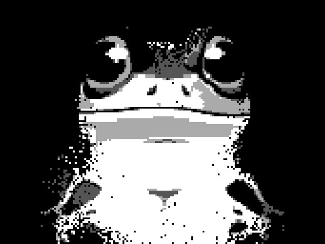 Coaching Quagsire + Pokemon SoulLocke w/Riley