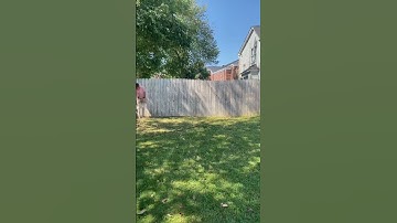 Dynamics projectile motion project