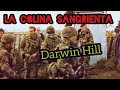 La Mayor Lección de la Historia Militar Británica - "Darwin Hill"