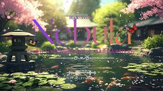 Harmony Flow – Relaxing Music for Stress Relief & Inner Calm