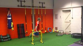 Lebert Fitness Equalizer Tricep Dips