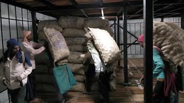 Potato cold storage inside