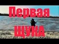 Молодой рыбак.База «Рыбалка Лайф»