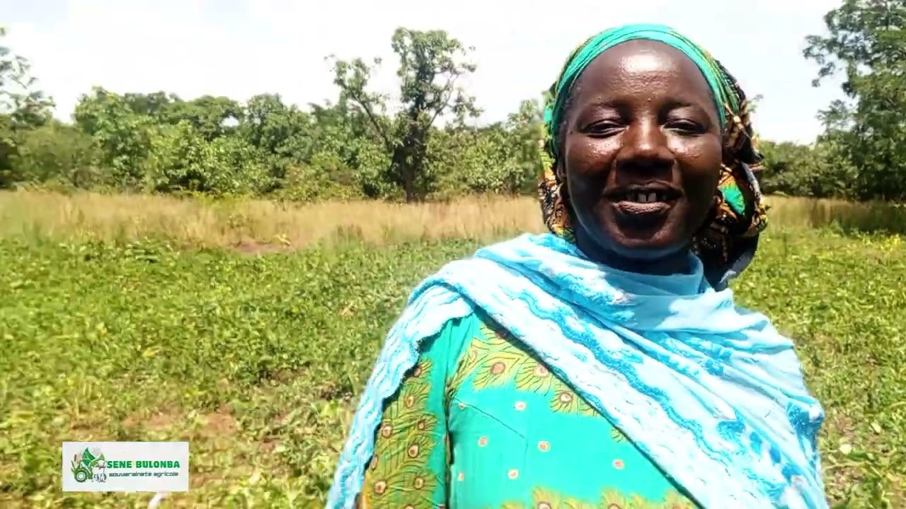 Bi an bɛ Falani. DINDE SAS y'an weele an ka na a ka sikuraw lajɛ 