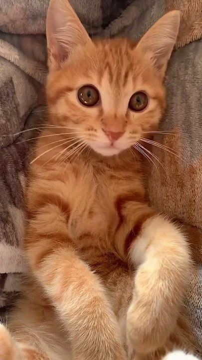 I know they won't give me a kiss ?? because I'm not pretty