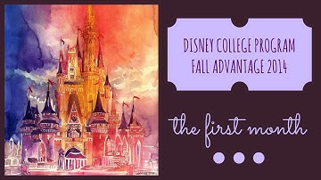 DCP 2014 | THE FIRST MONTH