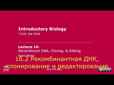 16.2. Рекомбинантная ДНК, клонирование и редактирование.