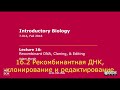 16.2. Рекомбинантная ДНК, клонирование и редактирование.