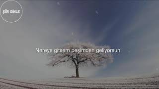 Ümit Yaşar Oğuzcan Karanlığın Gözleri Şiir Dinle Şiir Dinletisi