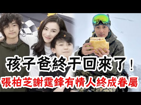 一家5口日本團聚！張柏芝謝霆鋒被爆複合，離婚11年同過情人節，15歲長子少年老成，謝賢接受采訪證實！王菲已成過去式#辣評娛圈