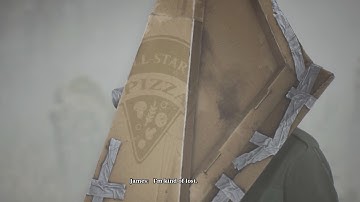 "When you see your customizable character in a cutscene"