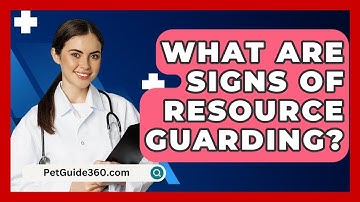 What Are Signs Of Resource Guarding? - PetGuide360.com