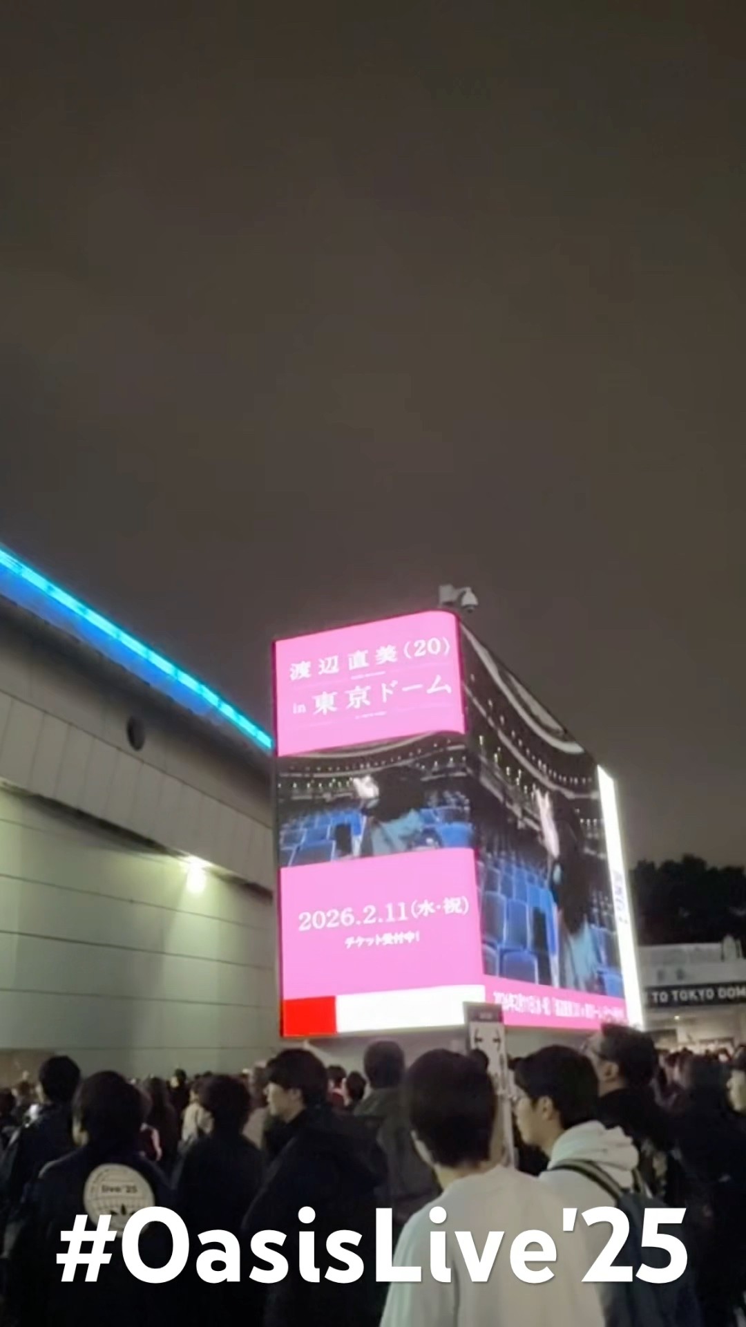 オアシス oasis live '25 パンフレット ショッパー oasis LIVE25