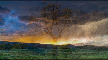 قراءة حجازية لسورة يس بصوت القارئ صالح الأنصاري