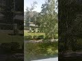 Вид из шк. 41