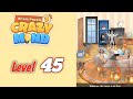 Brain Puzzle:3 Crazy Mind Level 45 Solution Walkthrough 